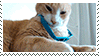 coolcat.gif