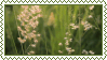 greenflowersinbreeze.gif